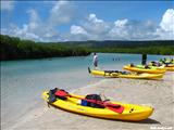 Punta Ballena - GUÁNICA